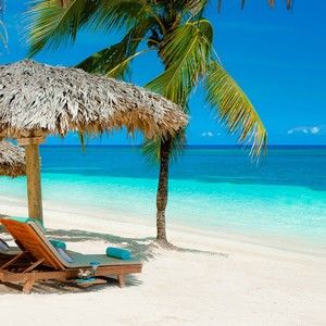 Meet your Posher, Noel